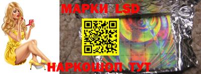 дмт Камышлов